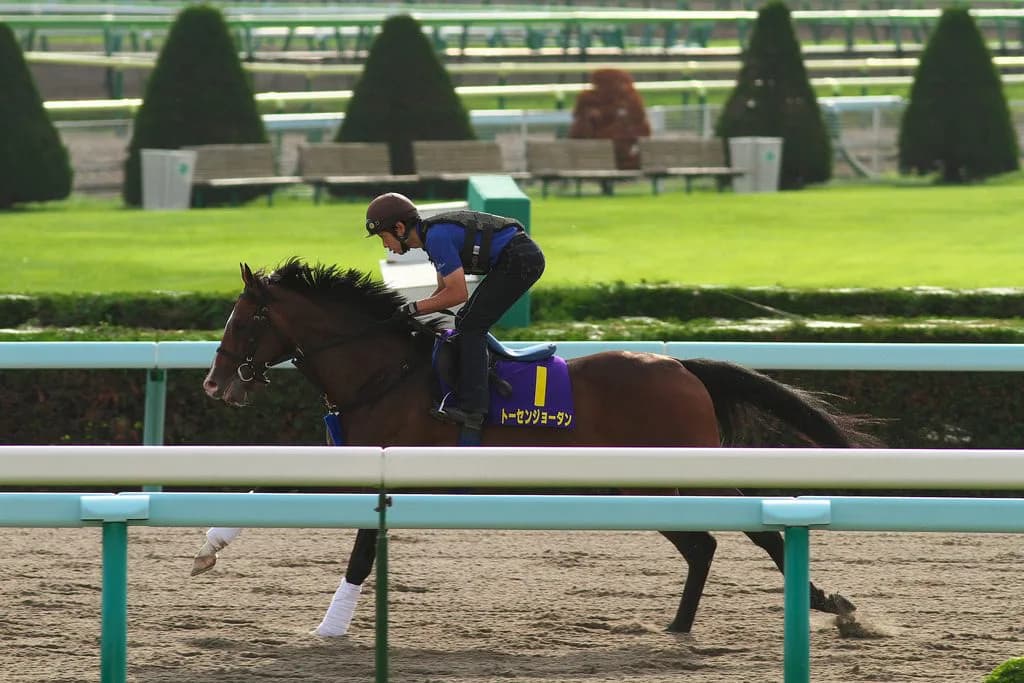 オウケンブルースリに追いつけ追い越せ、トーセンジョーダン