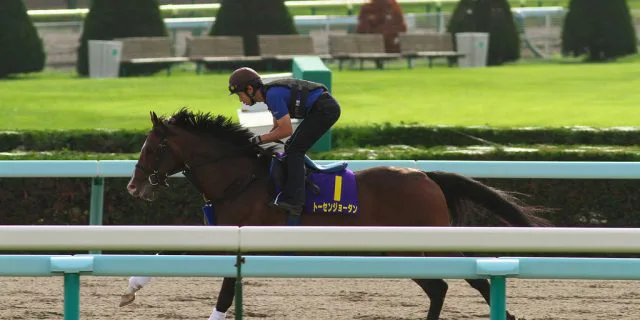 オウケンブルースリに追いつけ追い越せ、トーセンジョーダン