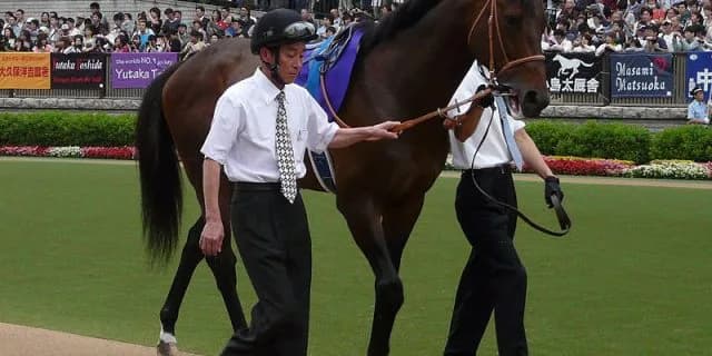 【注目新馬】デビューから夢は始まるか？ストロングリターン期待の産駒登場！