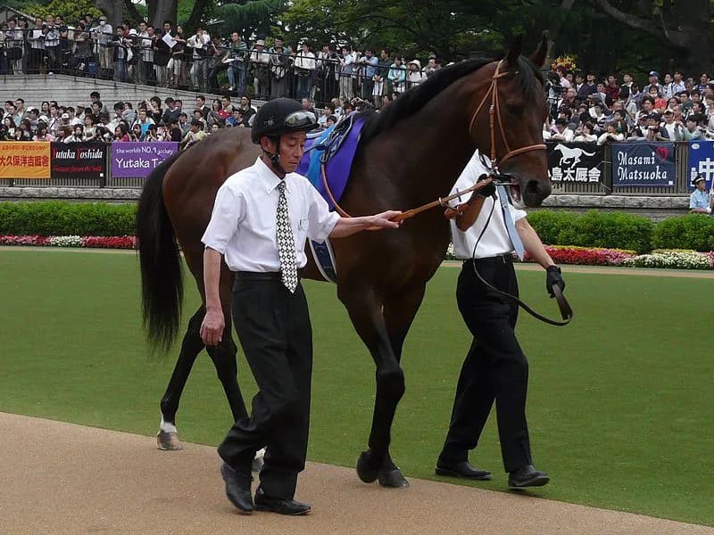 【注目新馬】デビューから夢は始まるか？ストロングリターン期待の産駒登場！