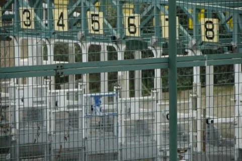 【紫苑S2018】フィニフティ回避、ローズSへ