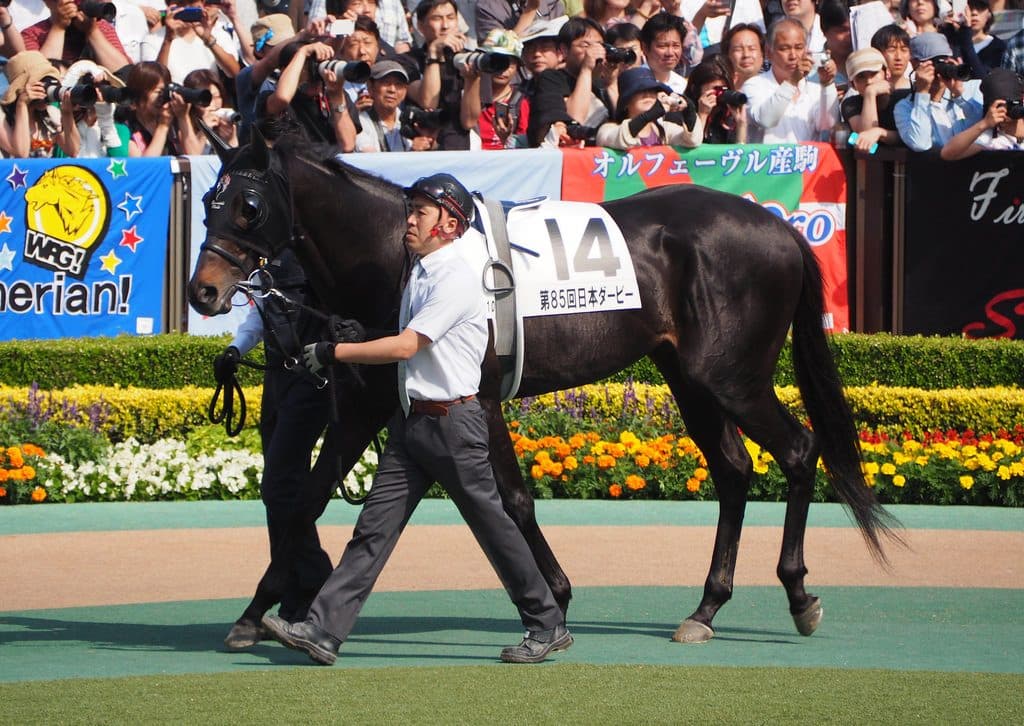 【神戸新聞杯2018予想】唯一の1勝馬エタリオウが、ダービー4着の力を見せつけ2勝目を飾るか！