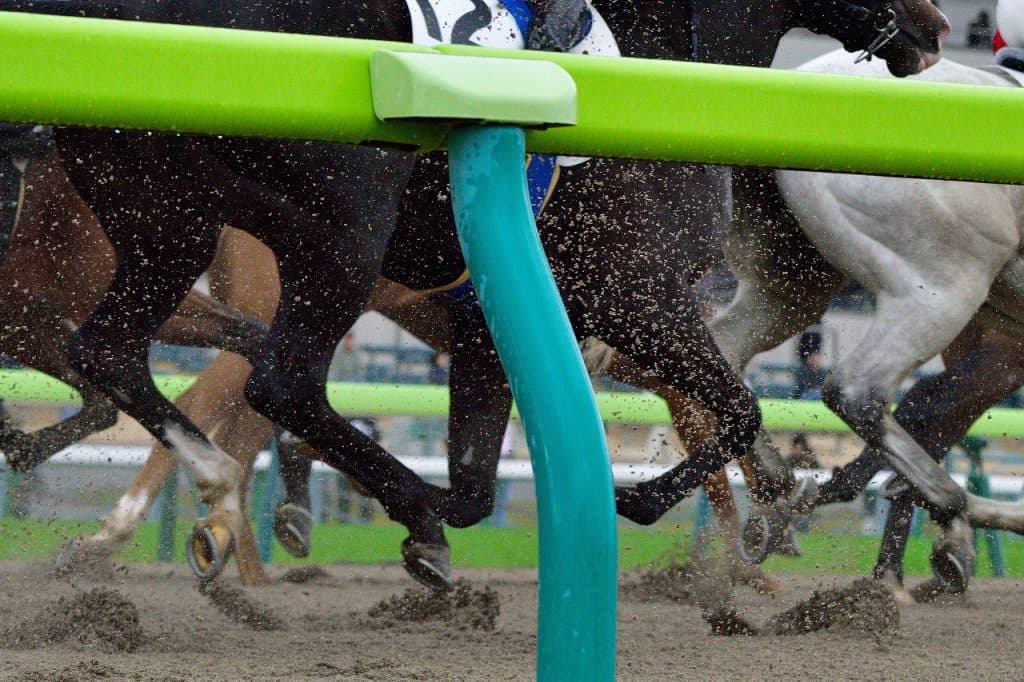 【シリウスS予想2025】波乱含みのハンデ戦！伏兵台頭にも要注意