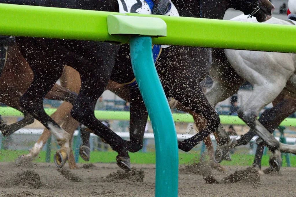 【JBCレディスクラシック2018予想】ラビットラン、ダートで悲願のG1勝利を目指す