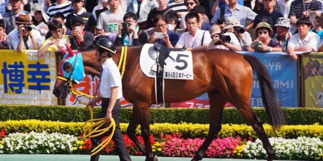 【天皇賞春2019予想】昨年3着のクリンチャー、伏兵扱い覆せるか？