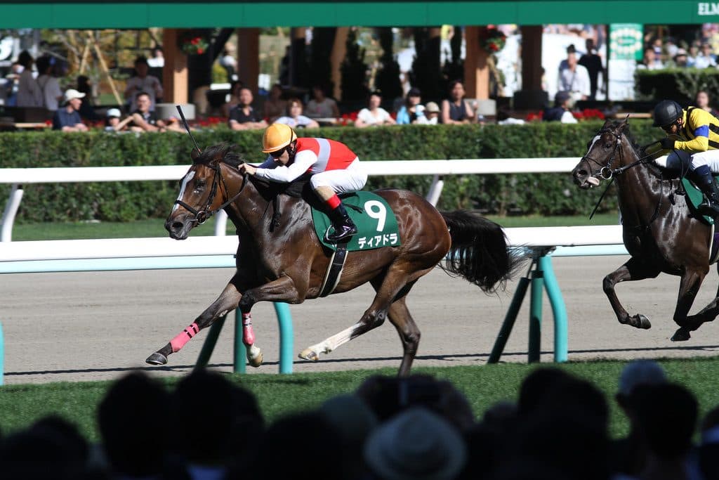 【愛チャンピオンS予想2019】ディアドラ、前走以上のパフォーマンス発揮に期待