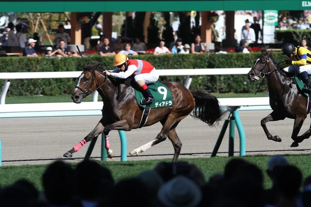 【愛チャンピオンS予想2019】ディアドラ、前走以上のパフォーマンス発揮に期待