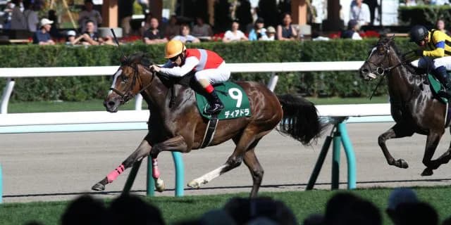 ディアドラ、次走は追加登録も辞さず凱旋門賞か