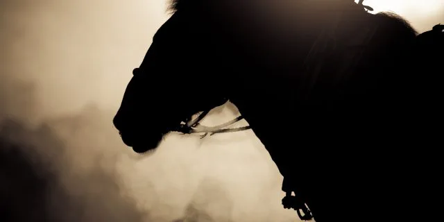 【桜花賞2019予想】アクアミラビリス、ディープインパクト産駒の牙城崩せるか