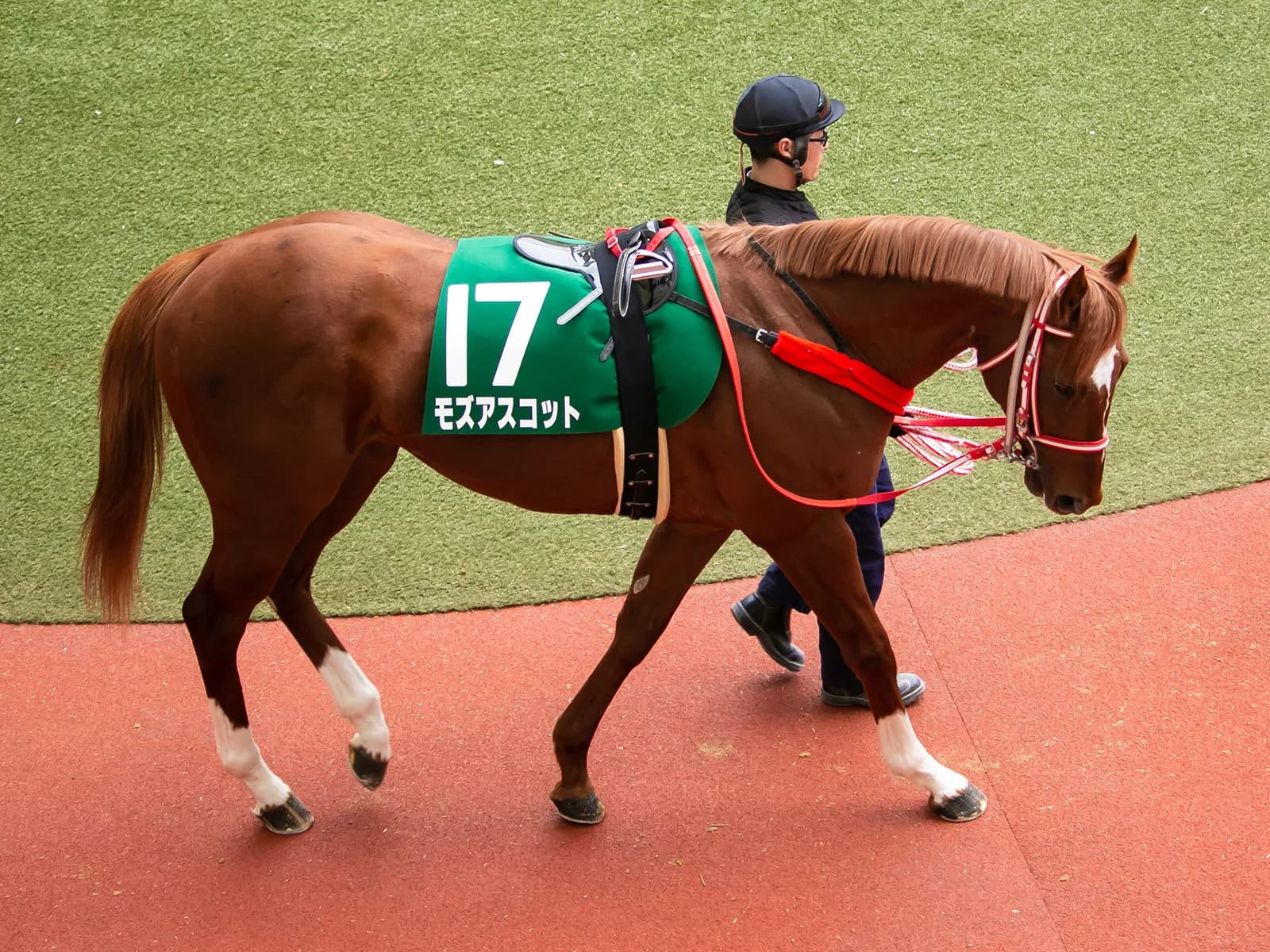 【三鷹特別】2度あることは3度ある？特定条件を満たす馬には要注目のレース