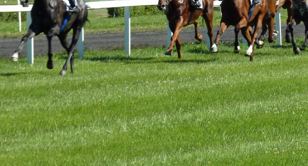 【ローズS予想2019】阪神の馬場傾向は？先週の芝レースの脚質別・枠順別成績