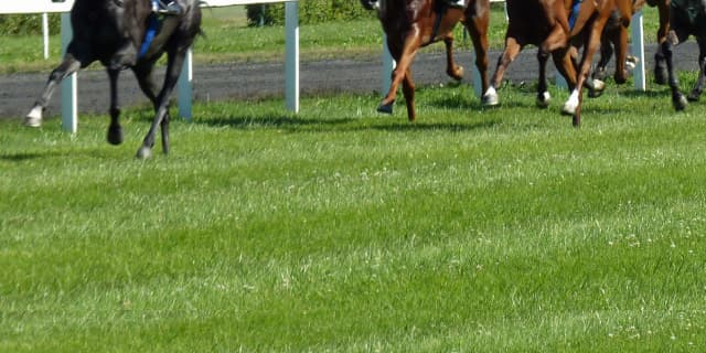 【シルクロードS予想2020】不利続きのラヴィングアンサー、スムーズに運べれば