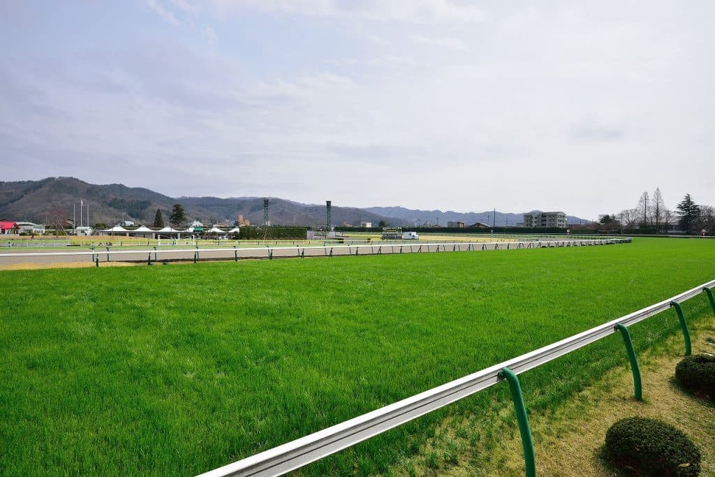 【アルゼンチン共和国杯2018予想】ヴォージュ、前走で人気を裏切ったのが功を奏す？