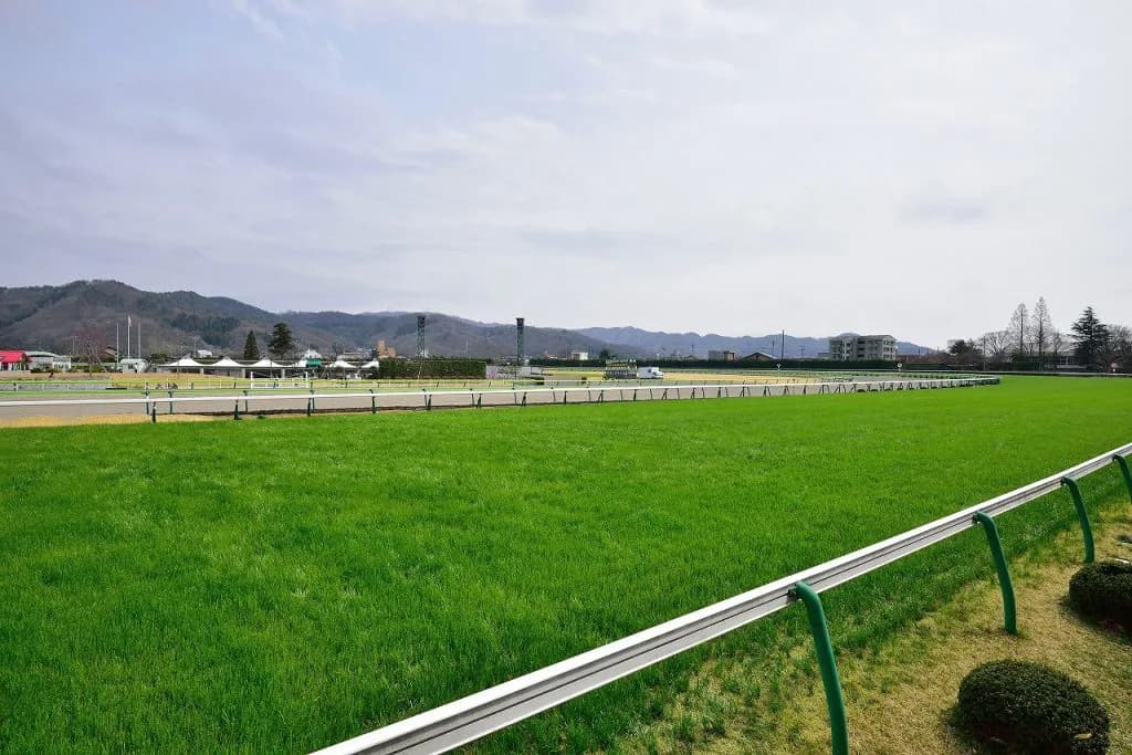 【アルゼンチン共和国杯2018予想】ヴォージュ、前走で人気を裏切ったのが功を奏す？