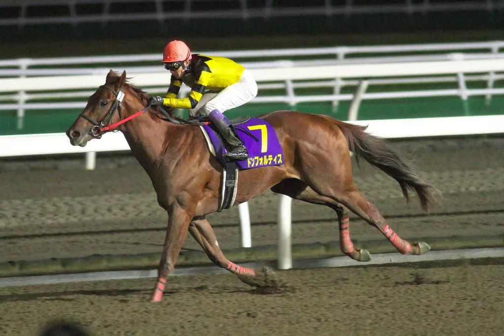 【霜月S予想2018】ハイレベルなダート3歳世代、ドンフォルティスはどうだ？