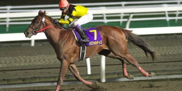 【霜月S予想2018】ハイレベルなダート3歳世代、ドンフォルティスはどうだ？