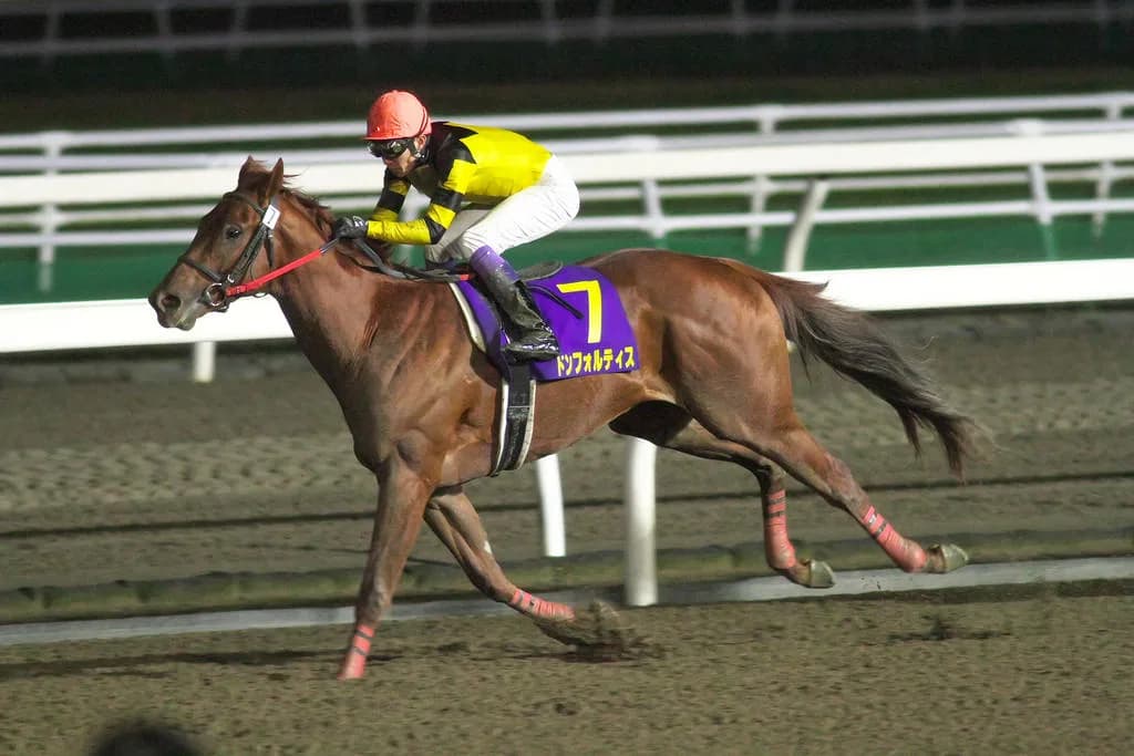 【霜月S予想2018】ハイレベルなダート3歳世代、ドンフォルティスはどうだ？