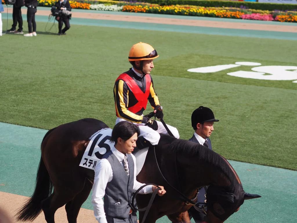 【マイルCS予想2018】ステルヴィオ適距離、得意舞台でG1初制覇なるか