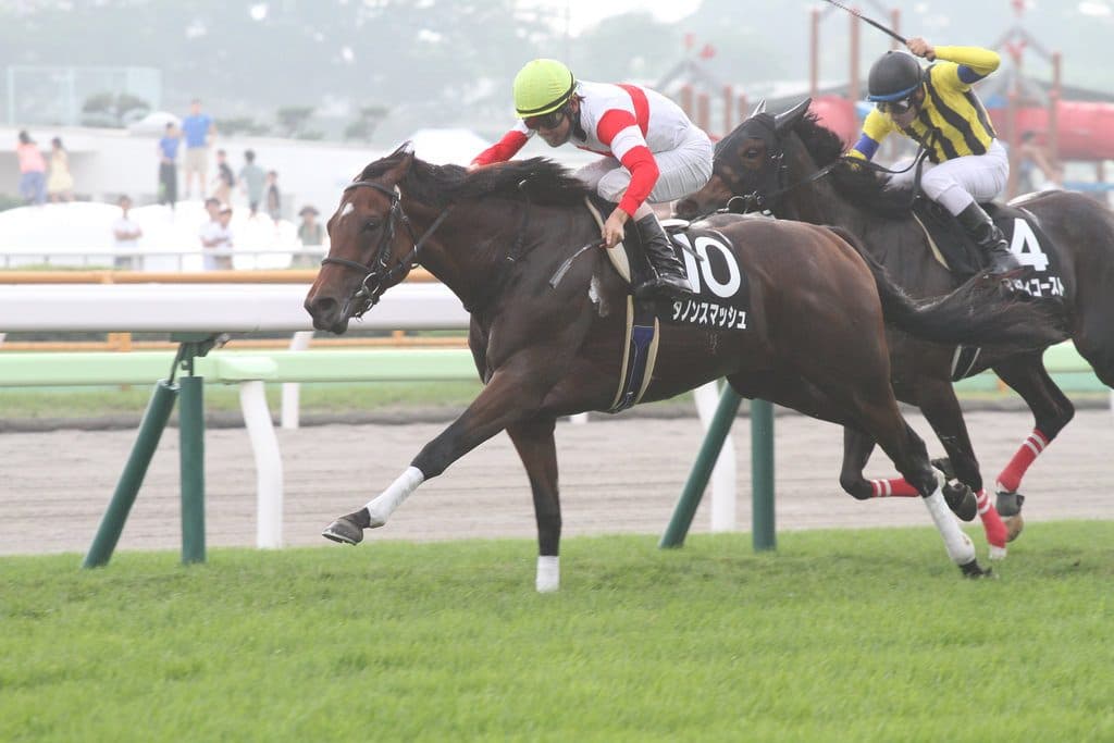【京阪杯2018予想】主役不在で大混戦！各馬一長一短で波乱必須か
