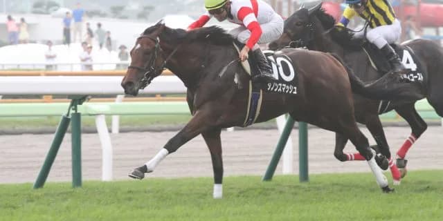 【京阪杯2018予想】主役不在で大混戦！各馬一長一短で波乱必須か