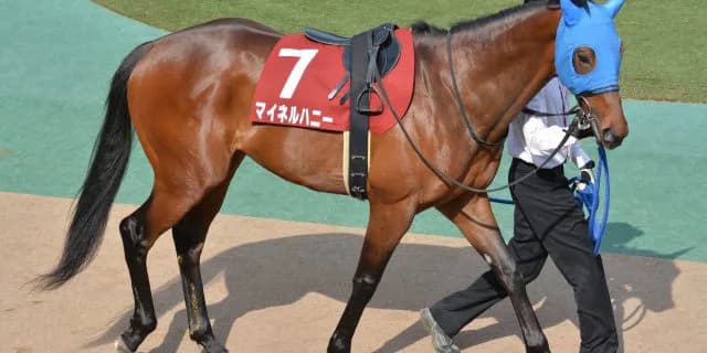 【福島記念2018予想】先行力が侮れない穴馬、マイネルハニー