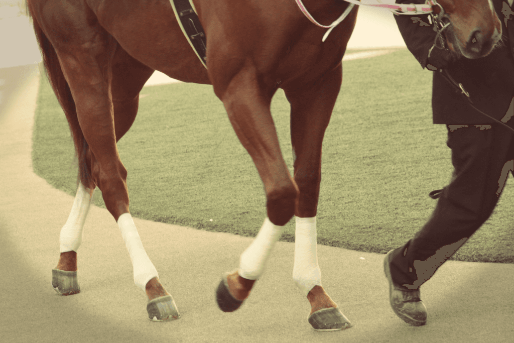 【注目新馬】ジャスタウェイ2世代目の注目産駒が同時デビュー