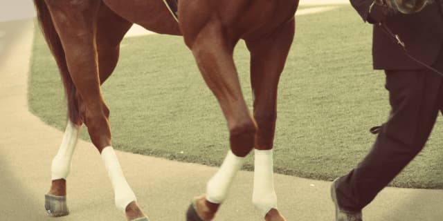 【キャピタルS予想2025】狙い目は"ポートアイランドS組"