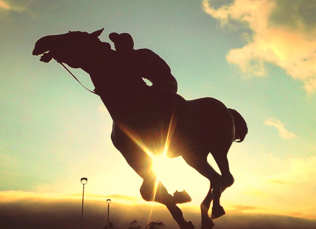 【美浦S予想2019】ルーカス、偉大すぎる全兄に追いつけるか？