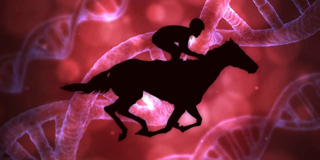 【ステイヤーズS予想2018】ステイヤー血統の穴馬、カレンラストショーの激走に期待！