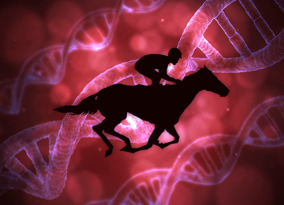 【阪神大賞典2019予想】血統の壁を乗り越えられるか、ロードヴァンドール