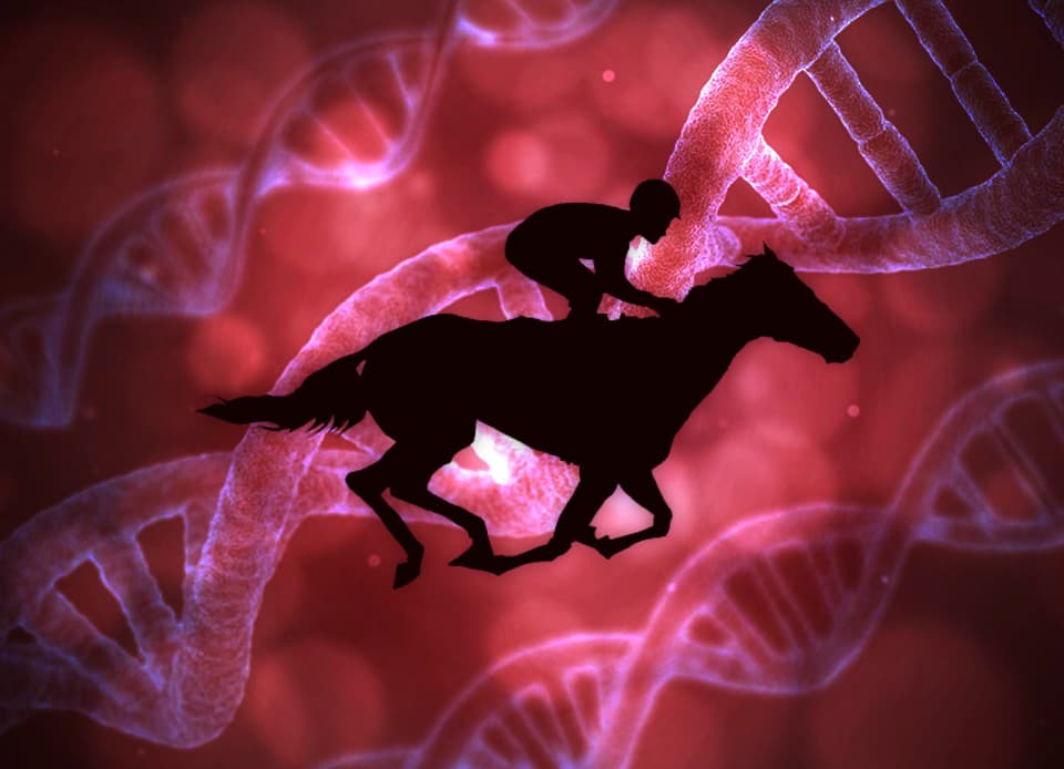 【朝日杯FS予想2019】トリプルエース、良血覚醒か？