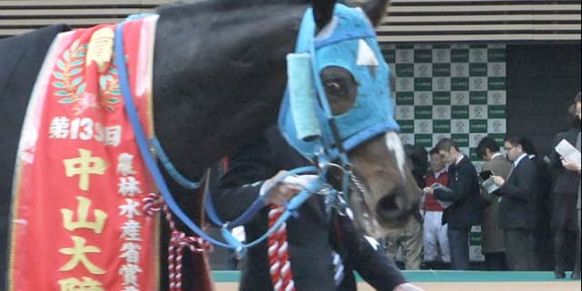 オジュウチョウサン、次走はステイヤーズS