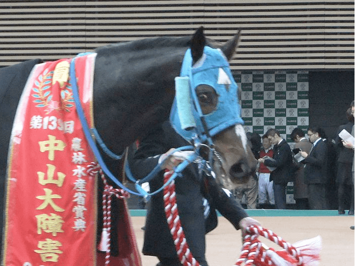 【阪神スプリングJ予想2019】オジュウチョウサン一本かぶりとなりそうな今回、狙い目は先輩2頭か？