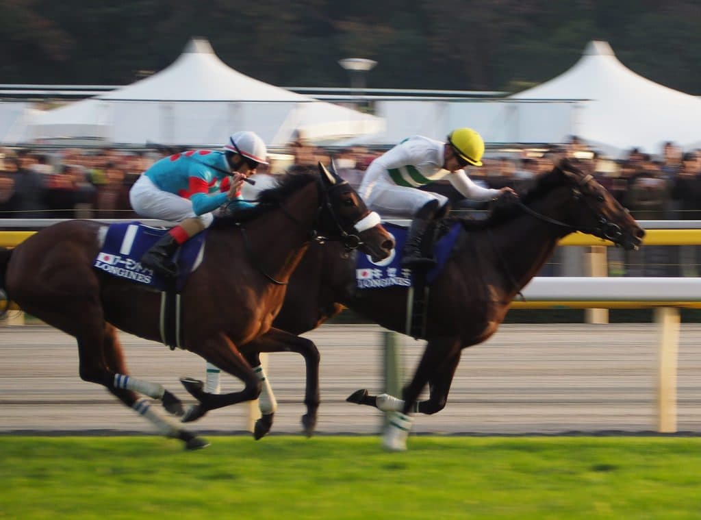 【有馬記念2018予想】キセキ、2,3着付けがベストか