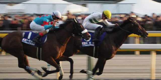 【有馬記念2018予想】キセキ、2,3着付けがベストか