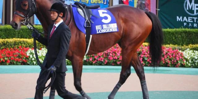 【有馬記念2018予想】ミッキースワロー、内回りでも問題なしか？