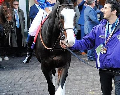 ダーレー供用のタリスマニックは日本に新風を吹かせるか？