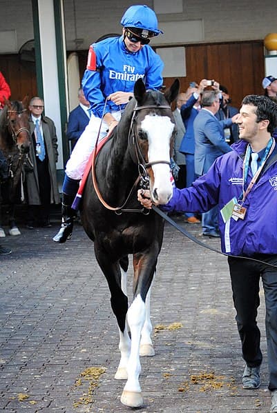 ダーレー供用のタリスマニックは日本に新風を吹かせるか？