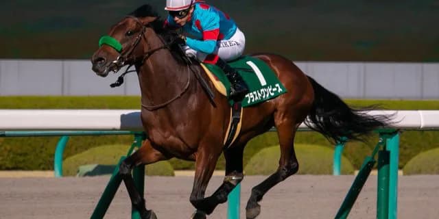 【目黒記念2019予想】ブラストワンピース、凱旋門賞へ向けて負けられない戦い