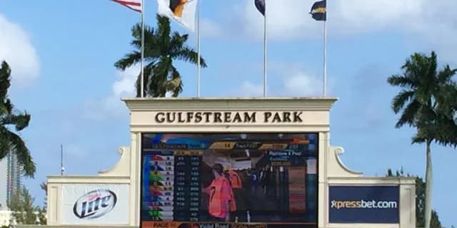 【海外競馬】米ペガサスワールドCターフ、ブリックスアンドモルタル優勝。アエロリットは9着