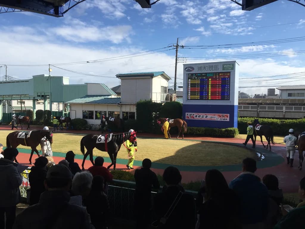 浦和競馬、公正確保。所属馬出走へ