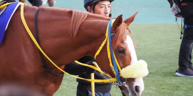 【日経新春杯2019予想】京都巧者のノーブルマーズ、1発ある