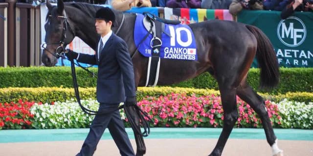 【日経新春杯2019予想】時計のかかる馬場ならガンコ