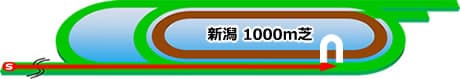 新潟競馬場　芝1000m