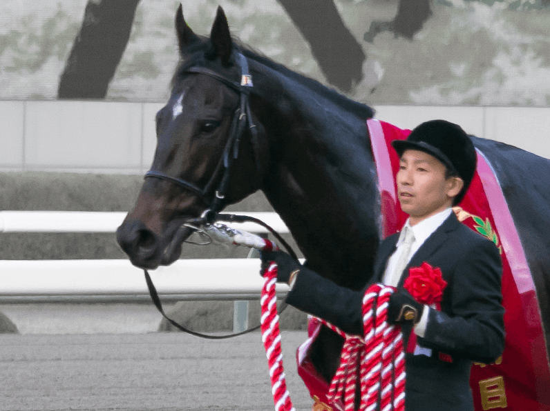 サトノアレス、引退。海外で種牡馬入りのプランも？