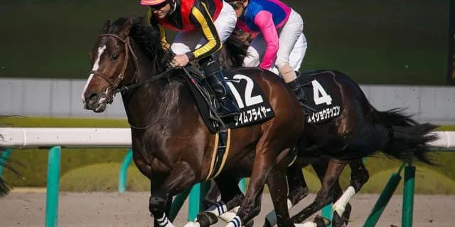 【京都記念2019予想】タイムフライヤー、前走の積極的な競馬がここで活きるか！？