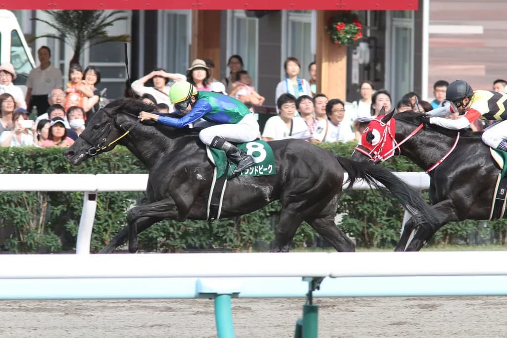 【総武S予想2019】ダート戦国時代に割って入れるかハイランドピーク、期待の素質馬復帰初戦