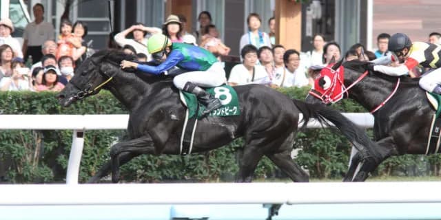 【総武S予想2019】ダート戦国時代に割って入れるかハイランドピーク、期待の素質馬復帰初戦