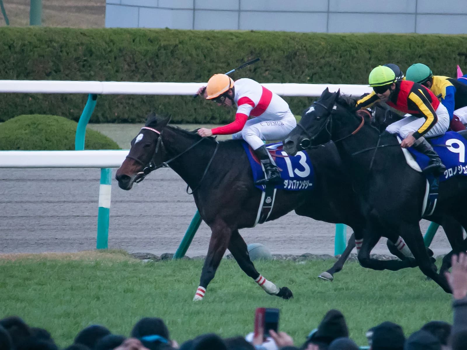 【チューリップ賞2019予想】近年は1番人気が好成績！ダノンファンタジーに敵なしか？