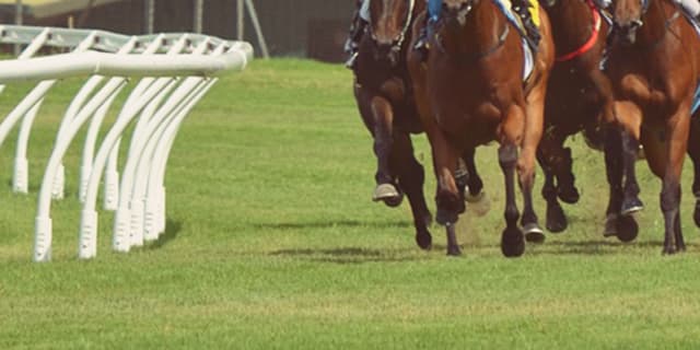 【シンザン記念2020予想】注目の“出世レース”！サンクテュエールやルーツドールなど出走予定馬を考察